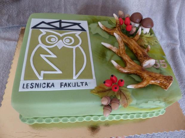 pre lesníka a jeho dcéru k promocií, torta, Narodeninové torty, Anna Š., 1