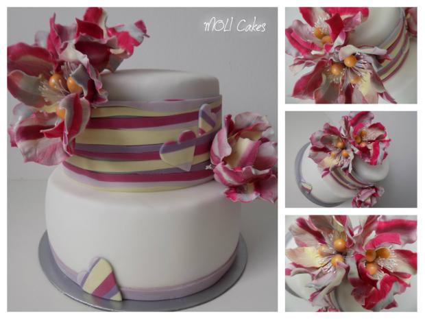 Pásikavá, torta, Narodeninové torty Pásikavá, torta, Narodeninové torty, MOLI Cakes, 1