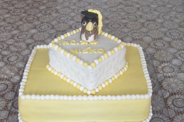 Ing.Miško, torta, Torty - škola, stužková Ing.Miško, torta, Torty - škola, stužková, filomena63, 1