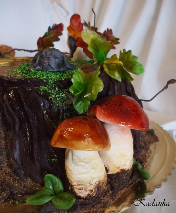 Pre milovníka húb, mačičiek a psíka, torta, Narodeninové torty Pre milovníka húb, mačičiek a psíka, torta, Narodeninové torty, Kadanka, 2
