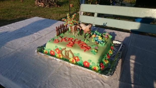 koníky na lúke, torta, Torty so zvieratkami koníky na lúke, torta, Torty so zvieratkami, Lilien Maxova, 1