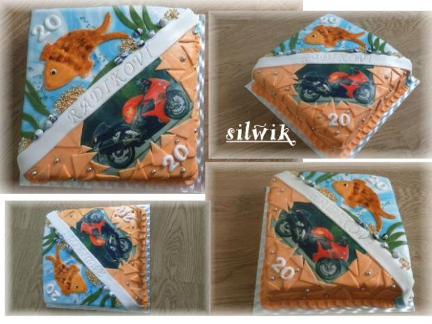 Rybár a motorkár v jednom 20 + 20 , torta, Športové torty, silwik, 1