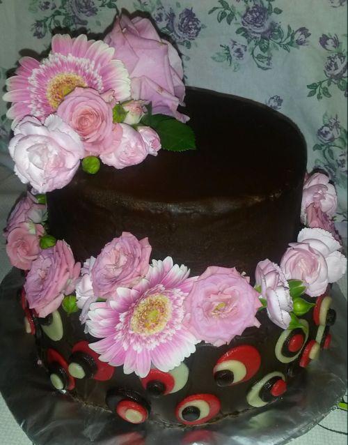 Čokoládovo-čokoládová torta, torta, Narodeninové torty, Kivi, 1
