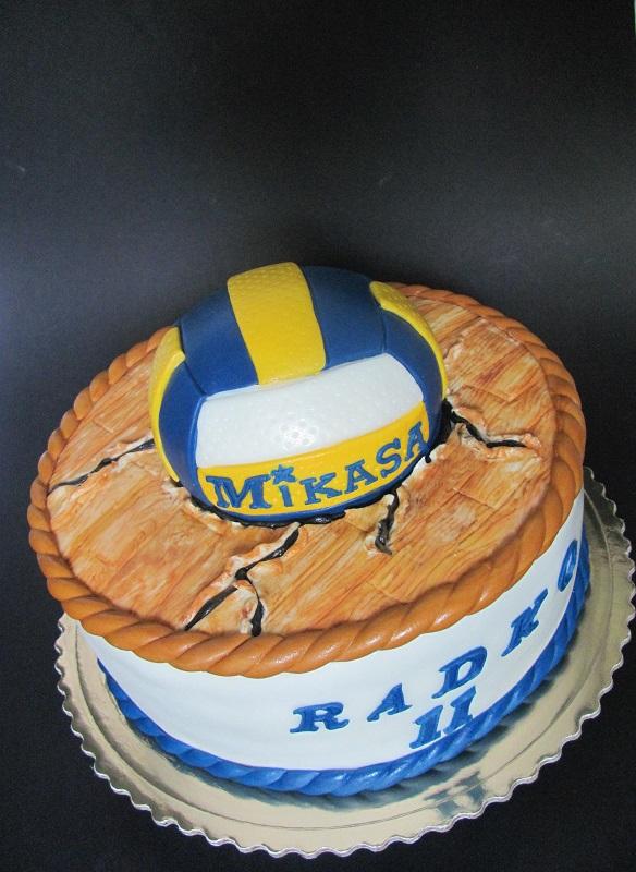 Volejbalová, torta, Športové torty, Tatjana Dobrovičová, 1