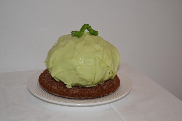 Kapusta, torta, Netradičné torty, N a D, 1