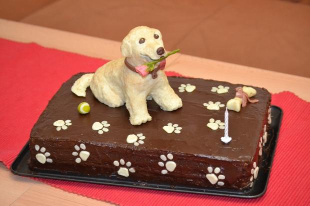 Pes - gratulant, torta, Čokoládové torty Pes - gratulant, torta, Čokoládové torty, N a D, 1