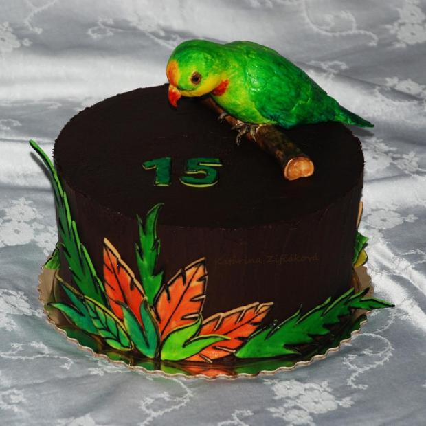 torta s papagajom, torta, Narodeninové torty, Katarina139, 1