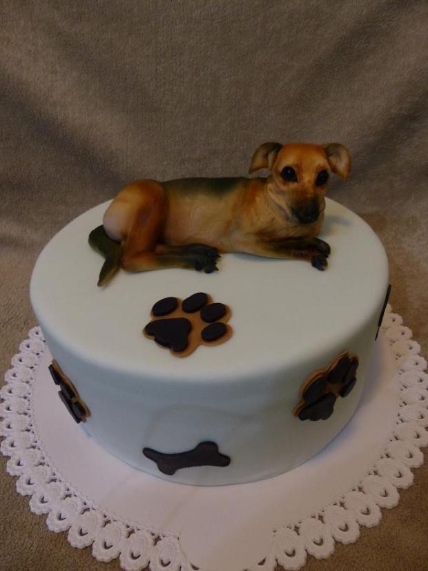 psík, torta, Netradičné torty, Anna Š., 1