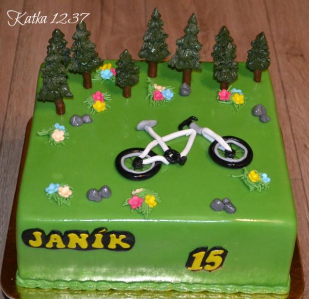 narodeninová s bicyklom, torta, Narodeninové torty, katka1237, 1