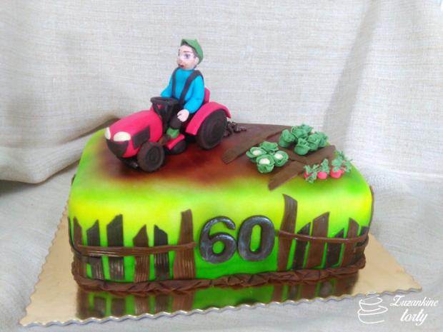 Narodeninová, torta, Narodeninové torty Narodeninová, torta, Narodeninové torty, tortovo, 1