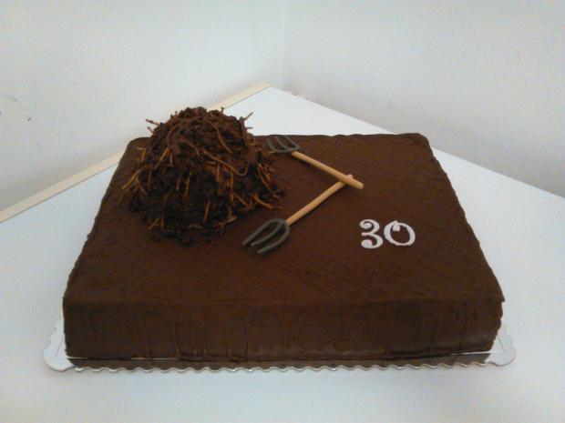 na stretnutie hnojarov po 30 rokoch, torta, Torty - škola, stužková, katka63, 1