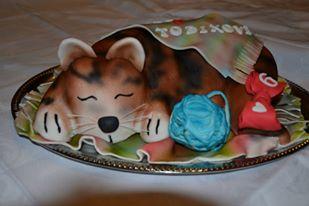 mačička, torta, Netradičné torty, tortina, 1