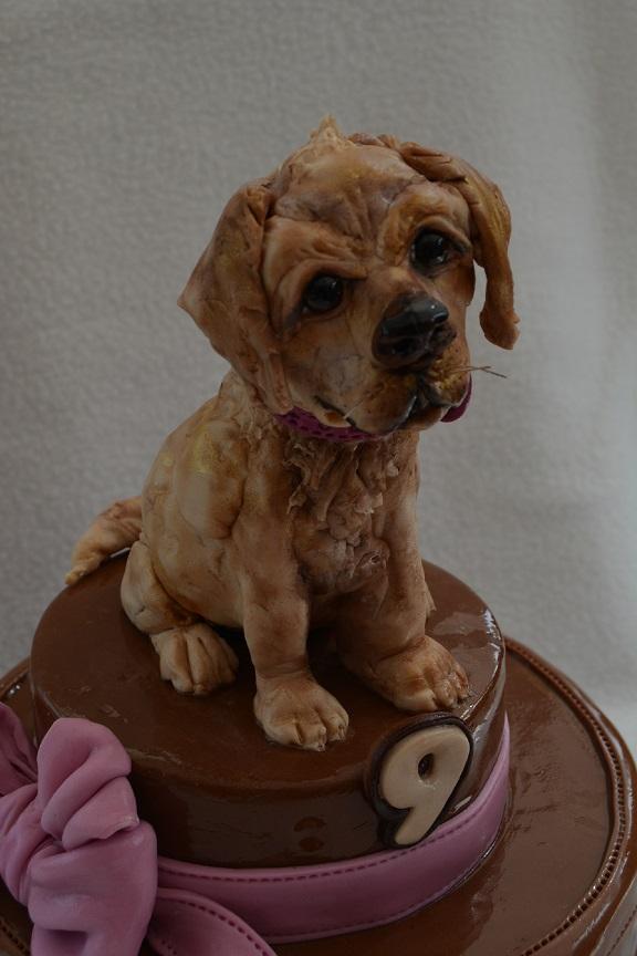 Psík labrador, torta, Torty so zvieratkami Psík labrador, torta, Torty so zvieratkami, lubigo, 2