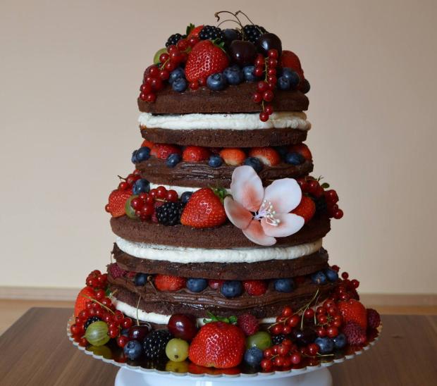 moja prvá nahá torta, torta, Nahé torty, malaevka, 1