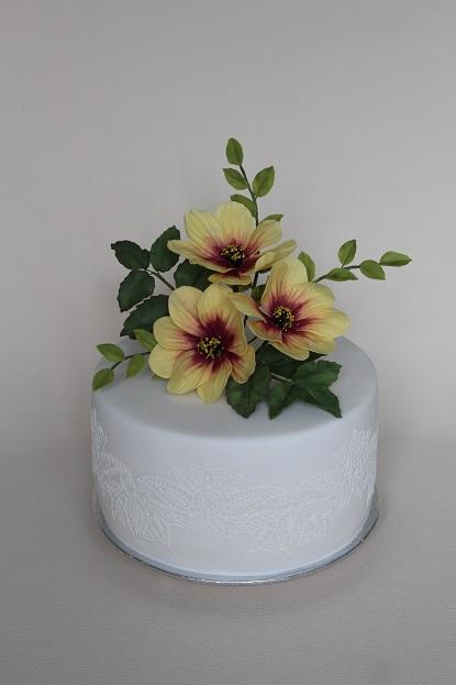 švagrinke, torta, Narodeninové torty švagrinke, torta, Narodeninové torty, Annka, 1