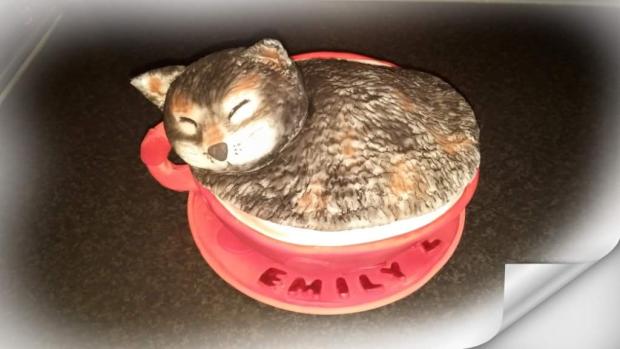 Mačka, torta, Torty so zvieratkami, evakos, 1