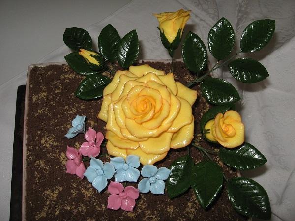 50-tka, torta, Narodeninové torty, zuskam, 2