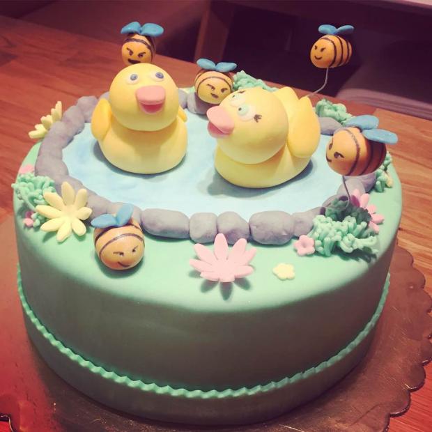 Kačičková, torta, Torty so zvieratkami, Abika Točalka, 1