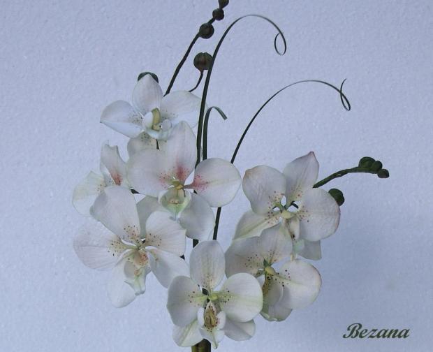 biela orchidea, torta, Ozdoby na torty biela orchidea, torta, Ozdoby na torty, bezana, 1