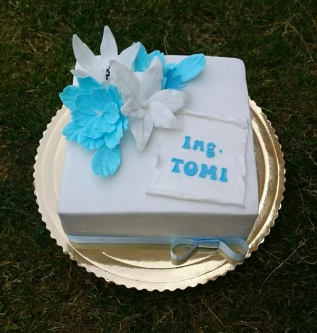 Tortička na promocie, torta, Torty - škola, stužková, andy611, 1