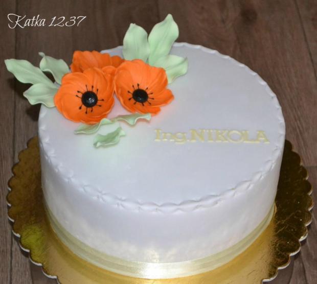 na promócie, torta, Narodeninové torty, katka1237, 1