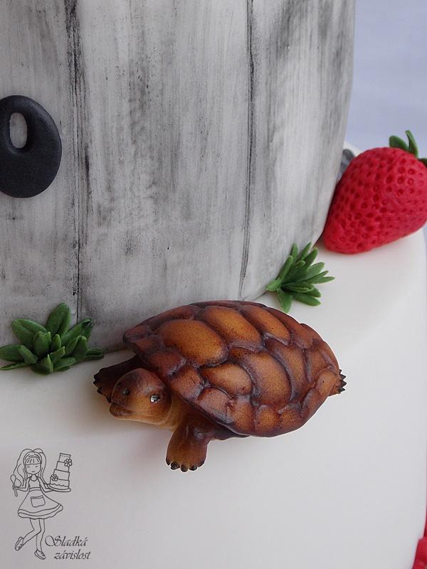 Želvičky, torta, Torty so zvieratkami, Sladká závislost, 3