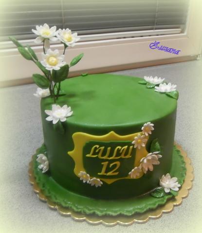 na želanie (na torte je miesto pre darček), torta, Narodeninové torty, zana, 1