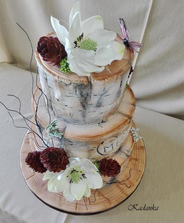 Trochu prírody na svadobný stôl... Svadobná - kôra brezy s magnóliami a šiškami, torta, Svadobné torty Trochu prírody na svadobný stôl... Svadobná - kôra brezy s magnóliami a šiškami, torta, Svadobné torty, Kadanka, 3
