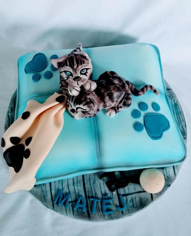 mačiatka, torta, Torty so zvieratkami mačiatka, torta, Torty so zvieratkami, mlssna alena, 2