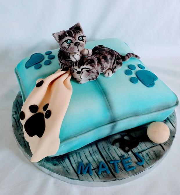 mačiatka, torta, Torty so zvieratkami mačiatka, torta, Torty so zvieratkami, mlssna alena, 1