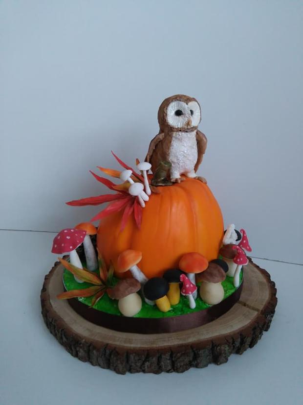 Pre môjho synčeka, torta, Torty so zvieratkami Pre môjho synčeka, torta, Torty so zvieratkami, Blacksun, 3