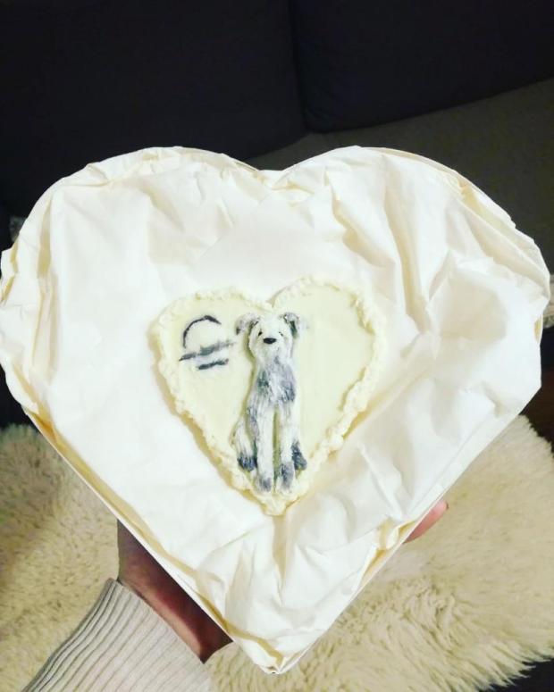 Írsky vlkodav, torta, Ozdoby na torty, Miriam Tarič, 1