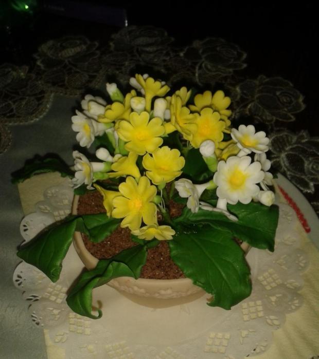 prvosienky, torta, Narodeninové torty, stanulik85, 1