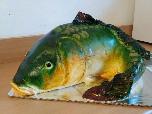 Kapor , torta, Netradičné torty, Martina Gregorova, 1