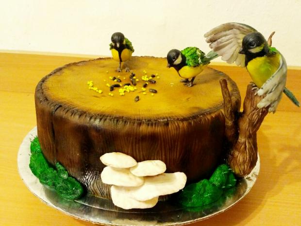Torta so sykorkami, torta, Narodeninové torty, Martina Gregorova, 1