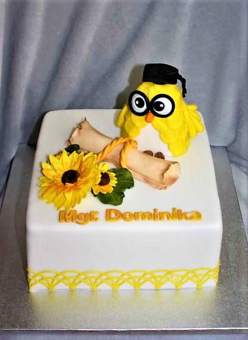 Promočná, torta, Torty - škola, stužková, stanula, 1