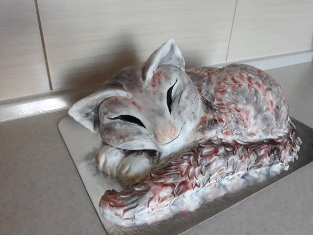 macka, torta, Netradičné torty, JaninaTN, 1