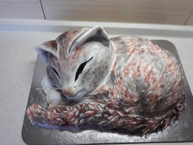 macka, torta, Netradičné torty, JaninaTN, 2