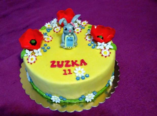 Narodeninová, torta, Torty pre dievčatá, Stanislava Šestáková, 1