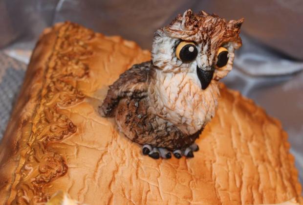 Sovička..., torta, Torty - škola, stužková, Tinka, 4