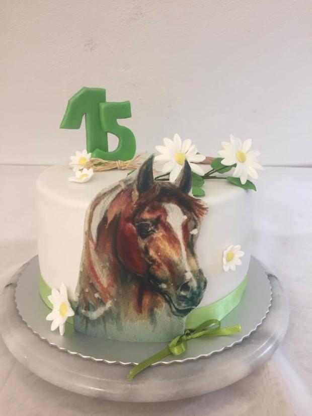 Pre milovníka koní, torta, Narodeninové torty, Martina Domčeková, 1