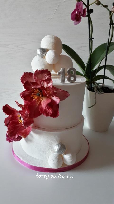  Narodeninova , torta, Narodeninové torty, katarina73, 2