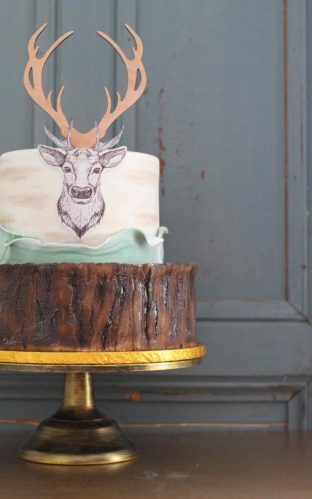 Narodeninová pre poľovníka a sokoliara, torta, Narodeninové torty, Cakes by Miša, 2