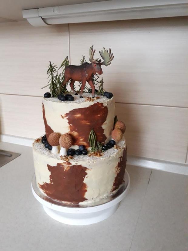 Polovnicka, torta, Narodeninové torty, JaninaTN, 1