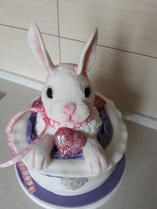 Zajo z klobuka von, torta, Torty so zvieratkami, JaninaTN, 1