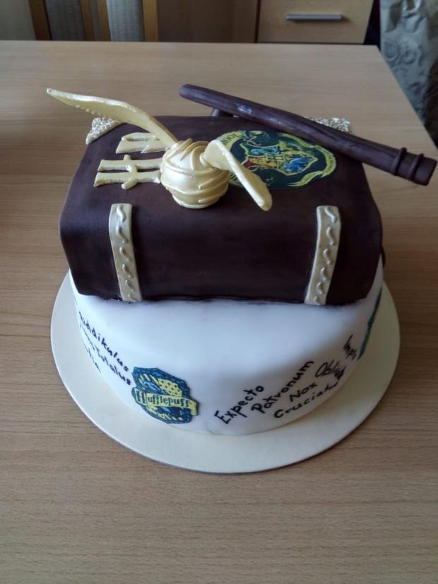 Harry Potter, torta, Rozprávkové torty, KatkaPes, 3