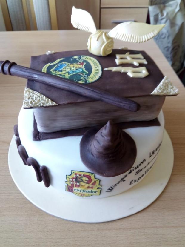 Harry Potter, torta, Rozprávkové torty, KatkaPes, 2