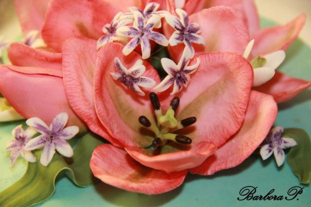 S tulipány, torta, Narodeninové torty, BarboraP., 4