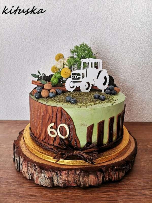 narodeninová torta pre gazdu, torta, Narodeninové torty, kituska, 1