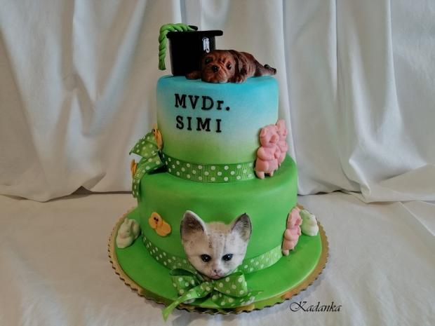 Na promócie pre veterinárku..., torta, Torty - škola, stužková, Kadanka, 1